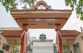 assam museum