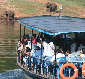 boat  safari in pobitora