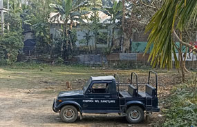 pobitora jeep safari contact number